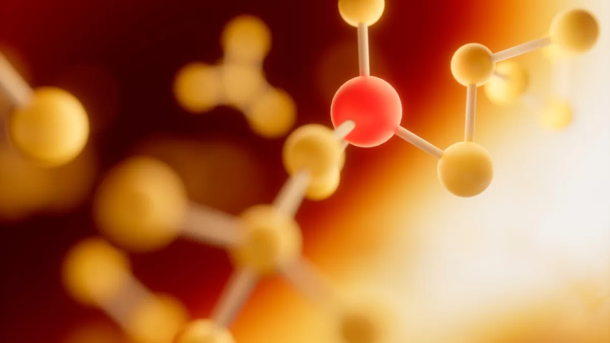 vitaminas lipossolúveis