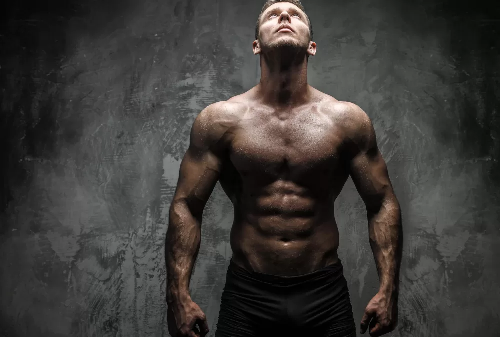 Fases do fisiculturismo