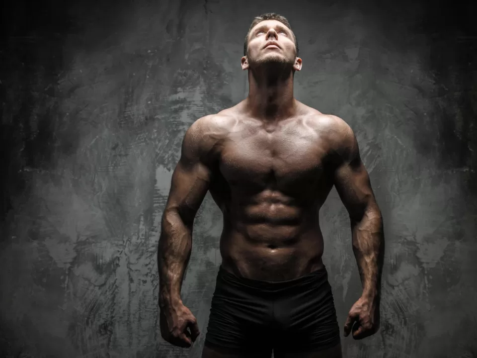 Fases do fisiculturismo